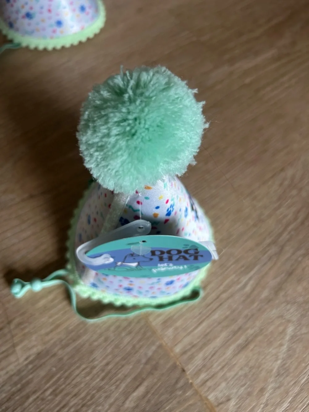 Dog Party Animal Birthday Hat - Mint Pom Pom
